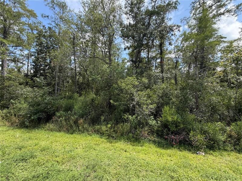Photo of the property at Starry St, Orlando, FL