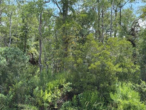 Photo of the property at Starry St, Orlando, FL