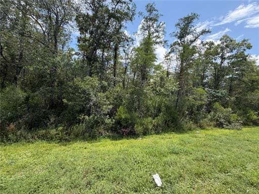 Photo of the property at Starry St, Orlando, FL